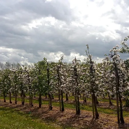 8 Person In Brenderup Fyn-by Traum Hébergement de vacances