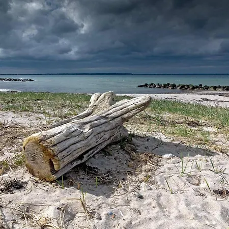 8 Person In Brenderup Fyn-by Traum Hébergement de vacances Bro (Funen)